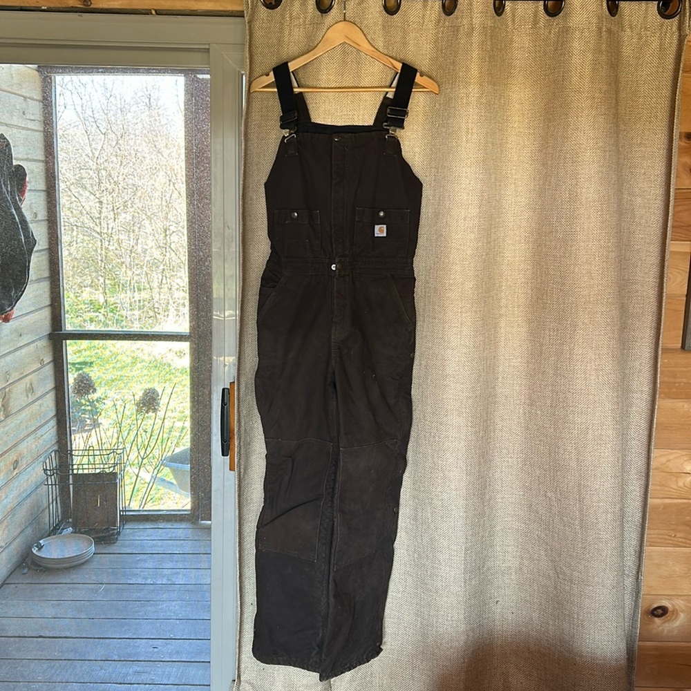 INSULATED Carhartt Overalls
